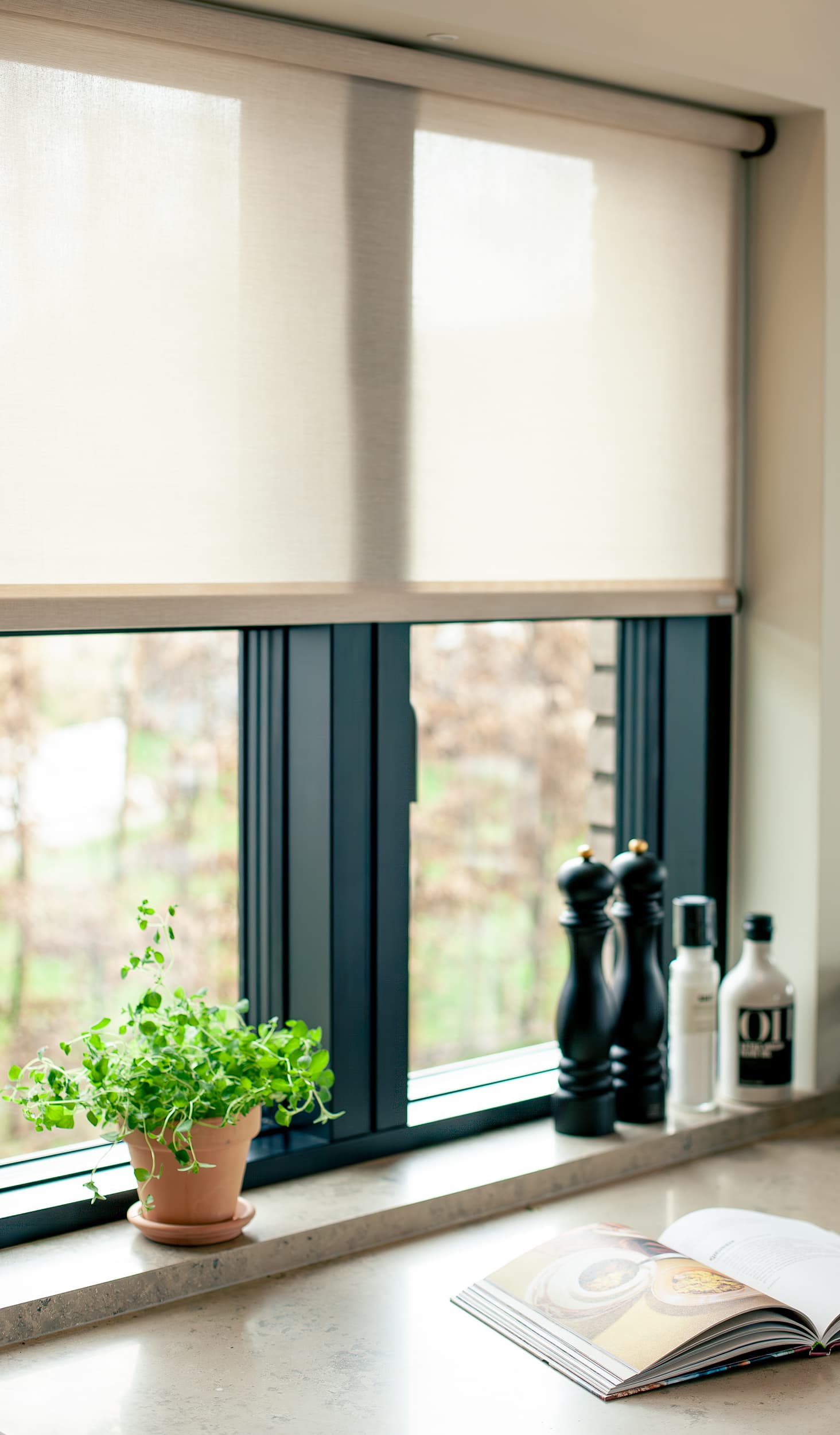 Rullgardin solskydd invändig fönster Rullgardin i fönster vid köksbänk med krukväxt kryddor